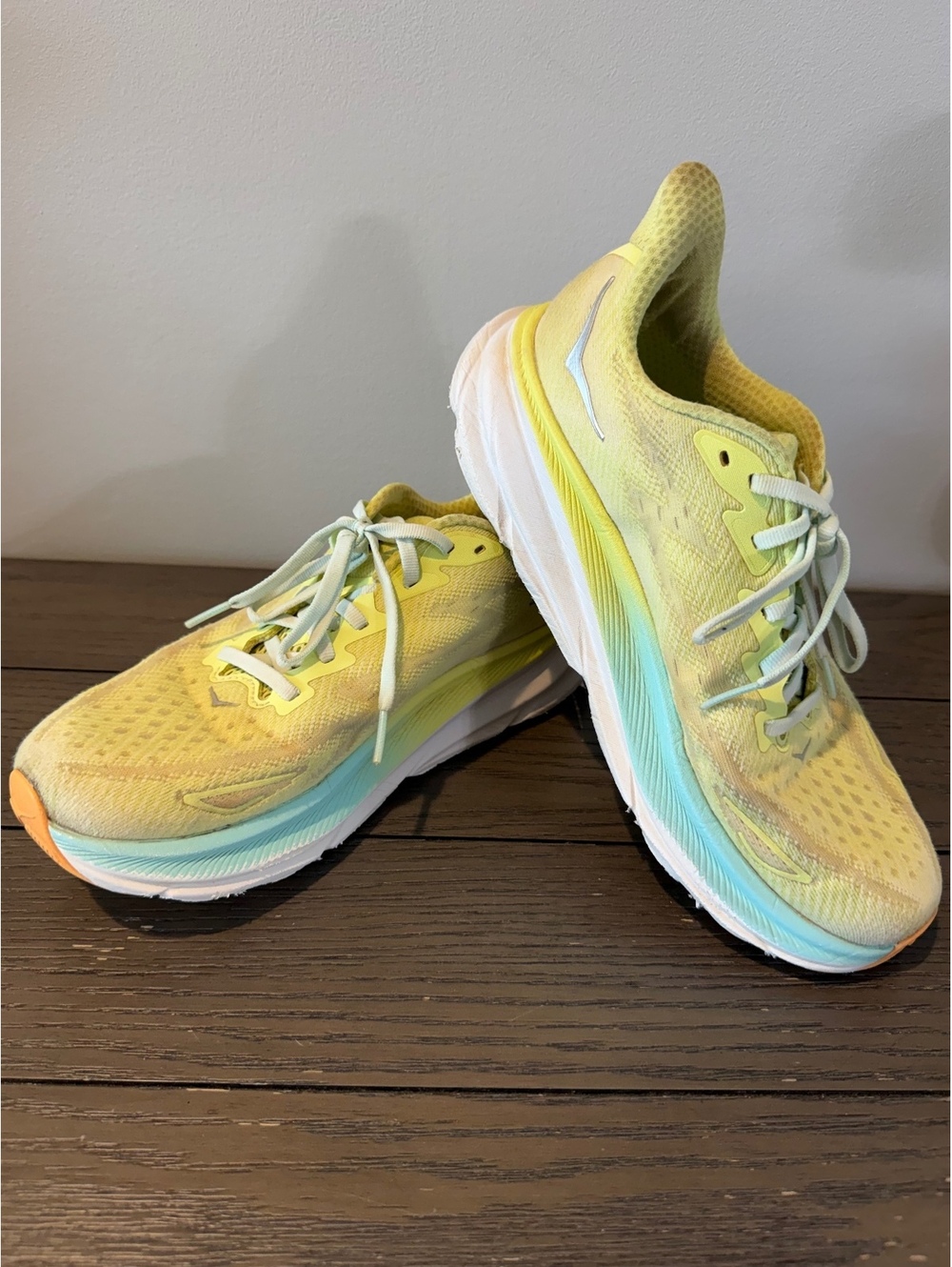 Hoka One One Running Shoes